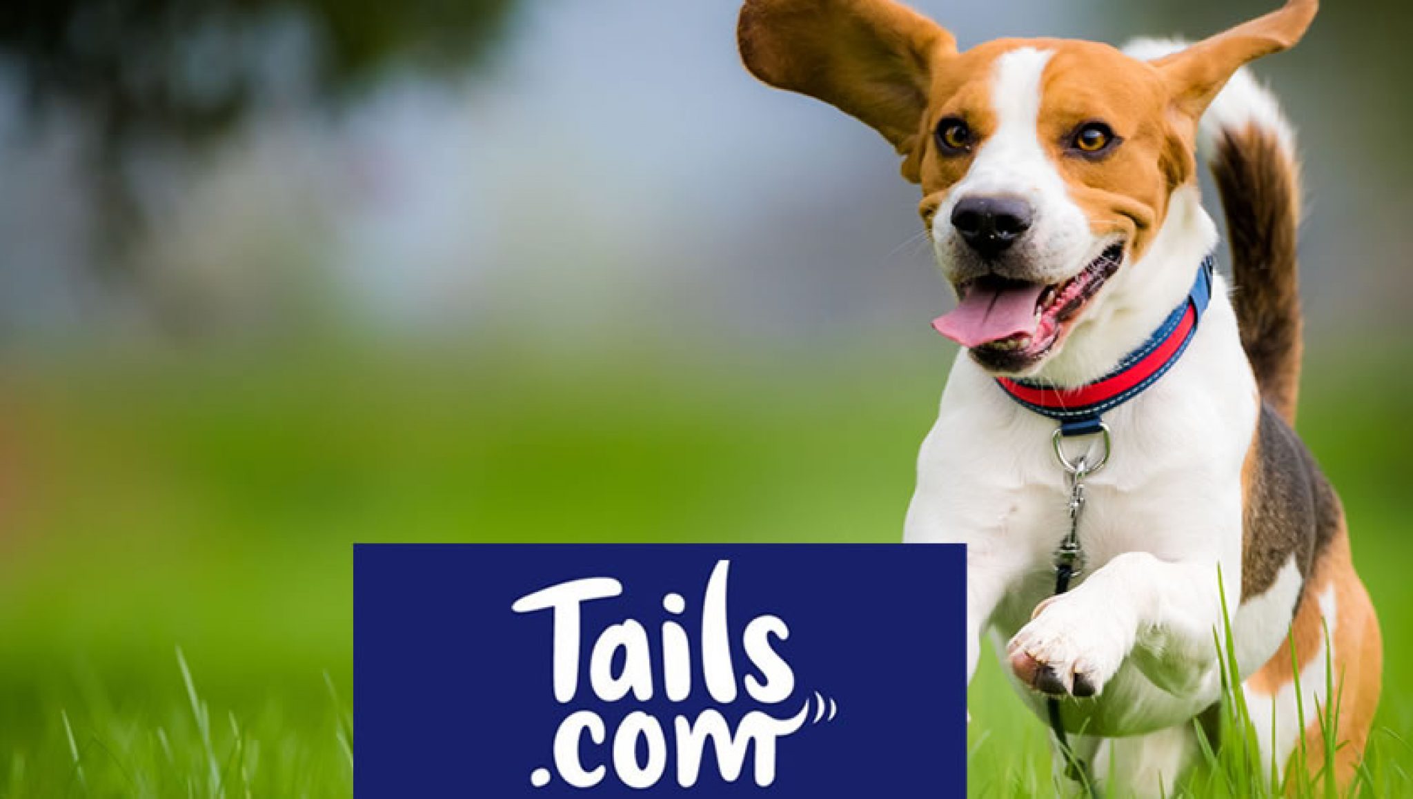 tails-nhs-discount-petfood-dog-food